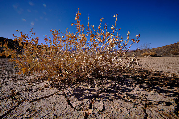 Ubehebe Crater, Death Valley NP, CA