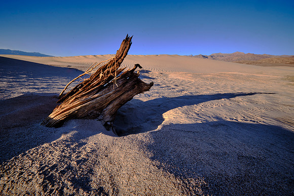 Short Dunes, (Mesquite Flat), Death Valley NP, CA