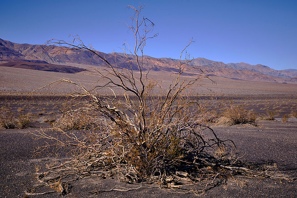 Ubehebe Crater, Death Valley NP, CA