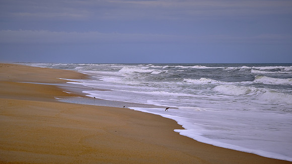 Cape Hatteras National Seashore, North Carolina