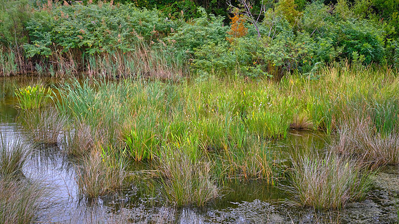 Duck Waterfront Boardwalk in the rain, Duck, North Carolina