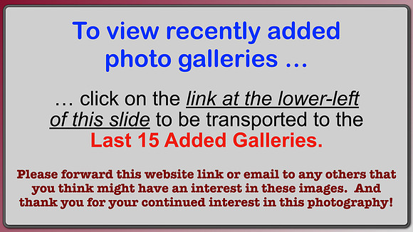 CLICK ON LINK AT LEFT: