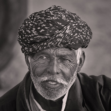 Nagaur Camel Fair, Rajasthan, India