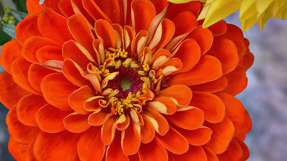 Naramore Flowers