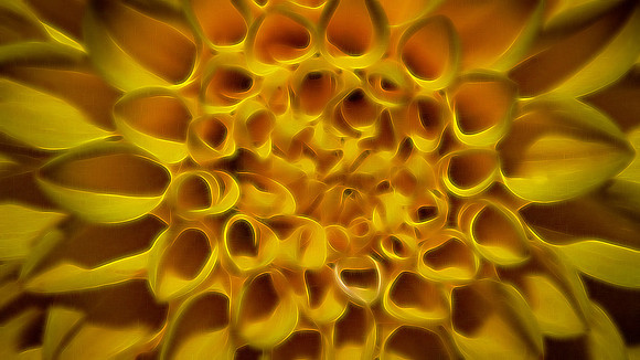 Naramore Flowers