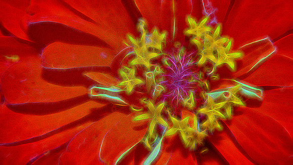 Naramore Flowers