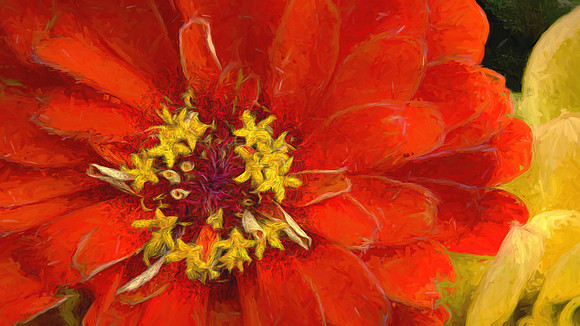 Naramore Flowers