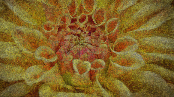 Naramore Flowers