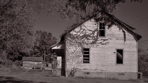 Shepherd allowed The Hunger Games to film on the property and allowed the property to be put up for silent auction.