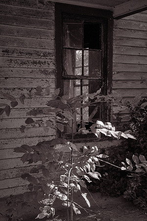 Workers lived in the houses rent free until 1933 and then paid only $5 a month in 1963.