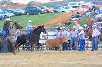 2008 July - Let's Rodeo!, Galena, IL