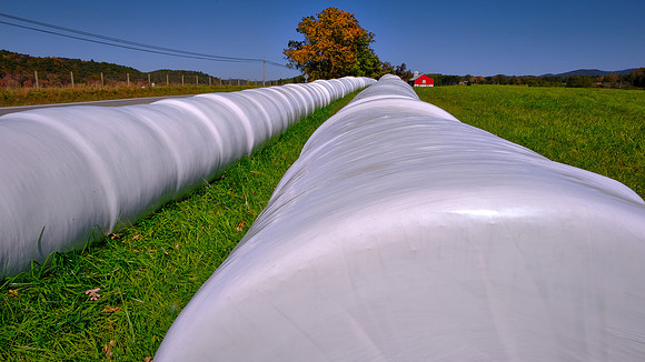 Plastic-wrapped hay bales in West Virginia in the autumn