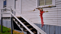 2020 Oct - Autumn in West Virginia