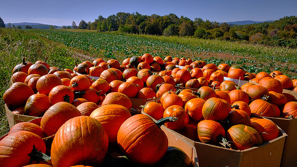 West Virginia in the autumn