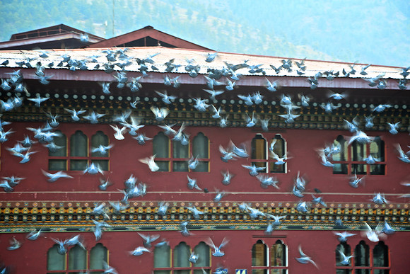 Downtown Thimphu