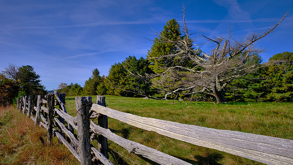 Carolina in the Fall, Blue Ridge Parkway, NC
