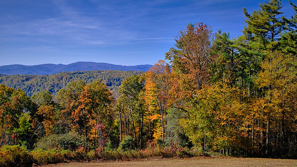 Carolina in the Fall, Blue Ridge Parkway, NC