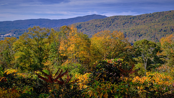 Carolina in the Fall, Blue Ridge Parkway, NC