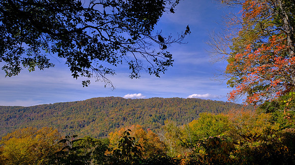Carolina in the Fall, Blue Ridge Parkway, NC
