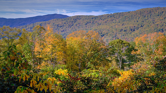 Carolina in the Fall, Blue Ridge Parkway, NC