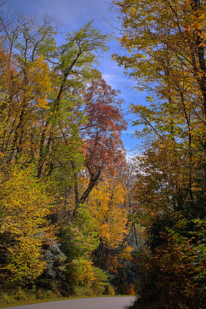 Carolina in the Fall, Blue Ridge Parkway, NC