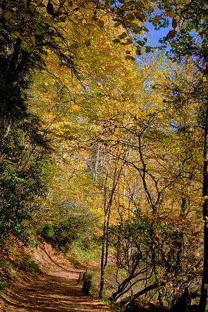 Trail from Linville Falls, Blue Ridge Parkway, NC