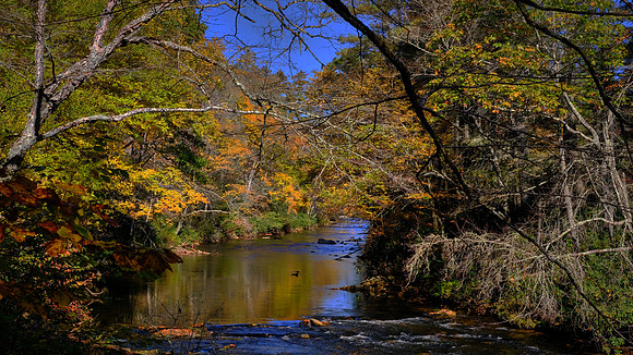 Linville River, Blue Ridge Parkway, NC