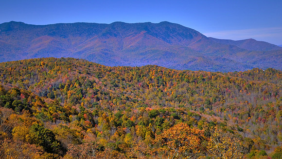 Carolina in the Fall, Blue Ridge Parkway, NC