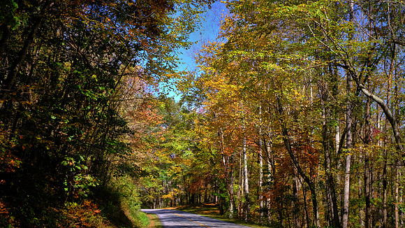 Carolina in the Fall, Blue Ridge Parkway, NC