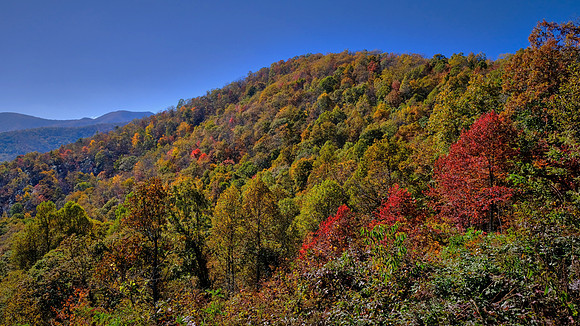 Carolina in the Fall, Blue Ridge Parkway, NC