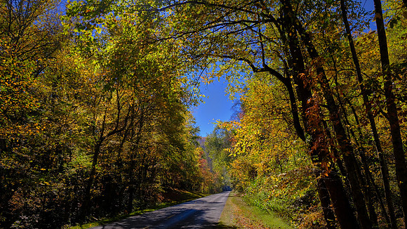 Road to Pounding Mill Overlook, Blue Ridge Parkway, NC