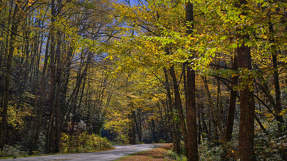 Down the mountain to Brevard, Blue Ridge Mountains, NC