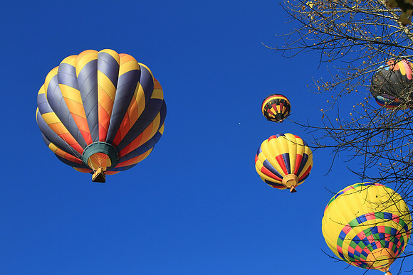 Carolina Balloon Fest, Statesville, NC