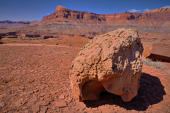 Colorado Plateau, UT. The region covers an area of 130,000 mi2 within western Colorado, northwestern New Mexico, southern and eastern Utah, and northern Arizona.