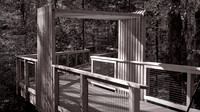 2020 Nov - Congaree National Park, SC