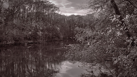 Congaree National Park, South Carolina