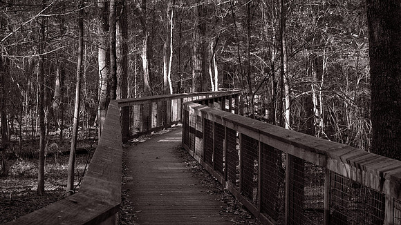 Congaree National Park, South Carolina