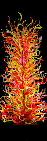 Dale Chihuly at the Biltmore Estate in the night, Asheville, NC