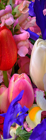 Davidson Farmer's Market