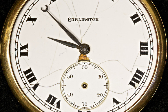 Macro Photography