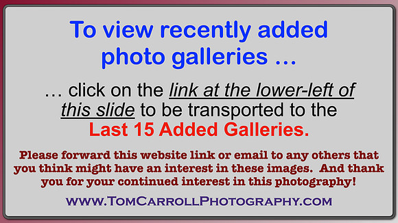 CLICK ON LINK AT LEFT: