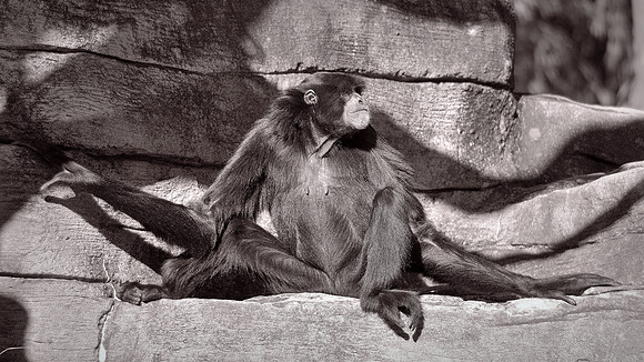 Riverbanks Zoo, Columbia, SC