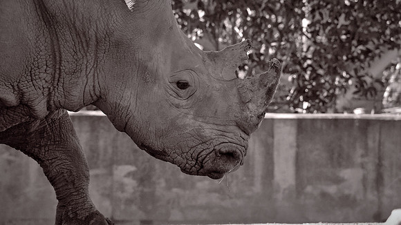 Riverbanks Zoo, Columbia, SC