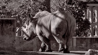 2021 Feb - Riverbanks Zoo, Columbia, SC