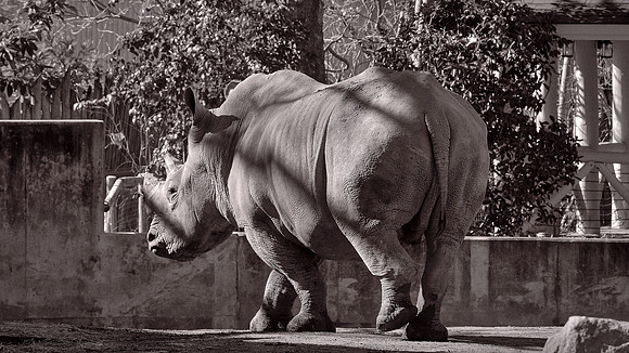 Riverbanks Zoo, Columbia, SC