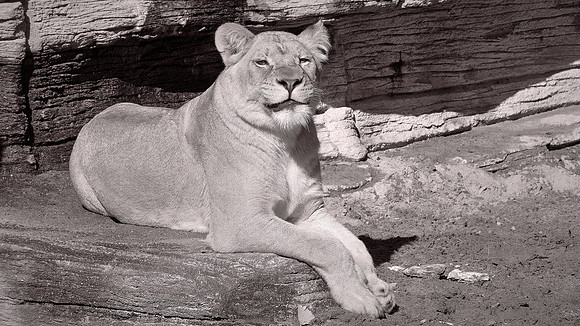 Riverbanks Zoo, Columbia, SC