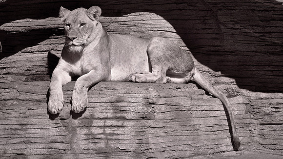 Riverbanks Zoo, Columbia, SC