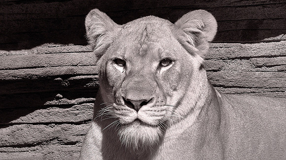 Riverbanks Zoo, Columbia, SC