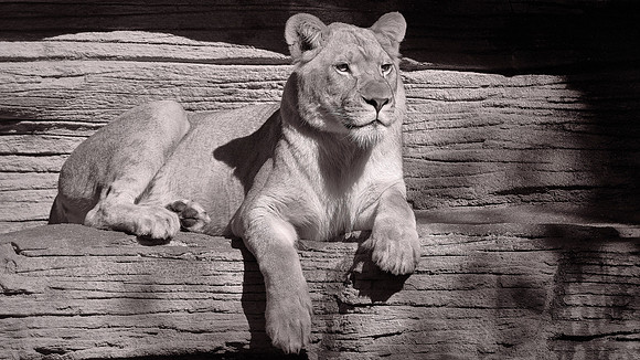 Riverbanks Zoo, Columbia, SC