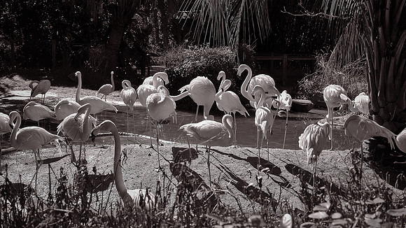 Riverbanks Zoo, Columbia, SC
